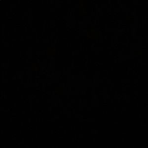 Meet your Posher, Eli